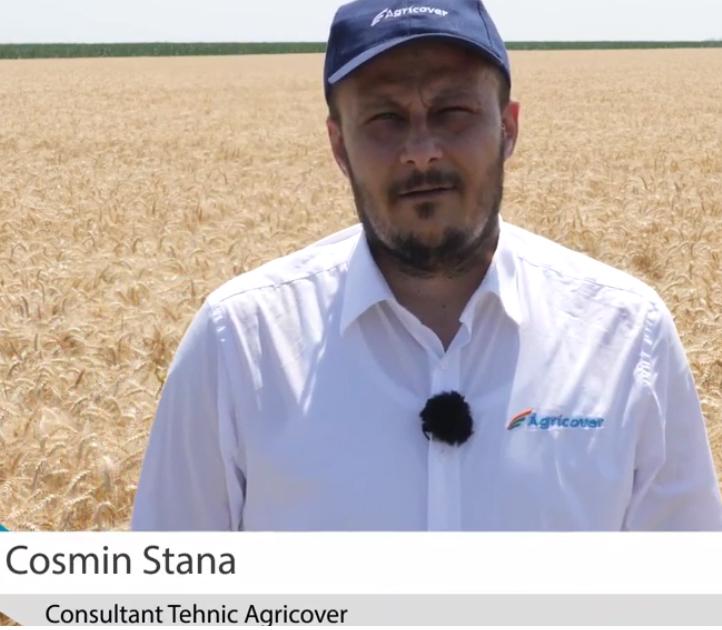 Cosmin Stana, Agricover technical consultant, on the treatment applied to an experimental wheat lot